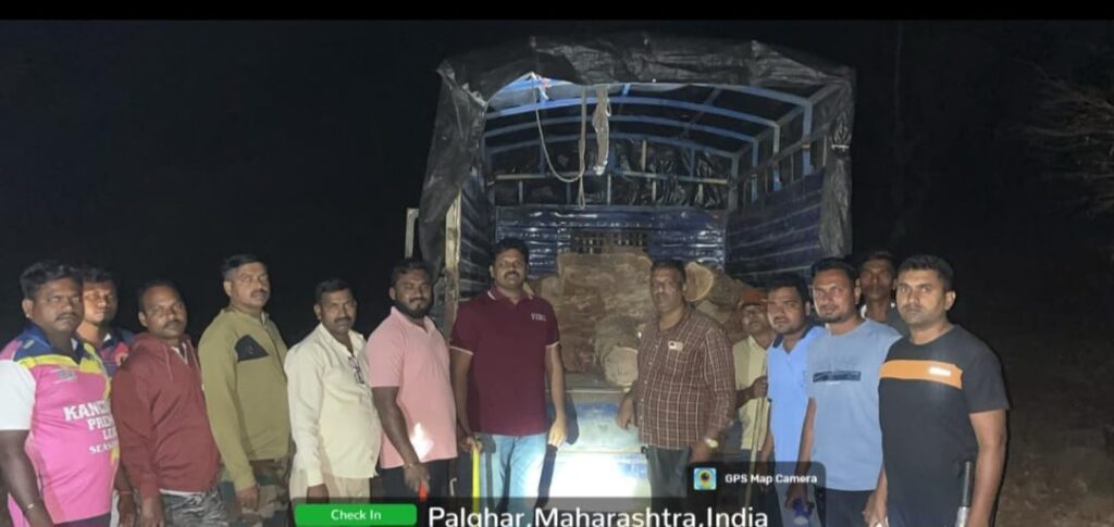 वाडा वन परीक्षेत्रात खैर तस्करावर पुन्हा संक्रान्त,