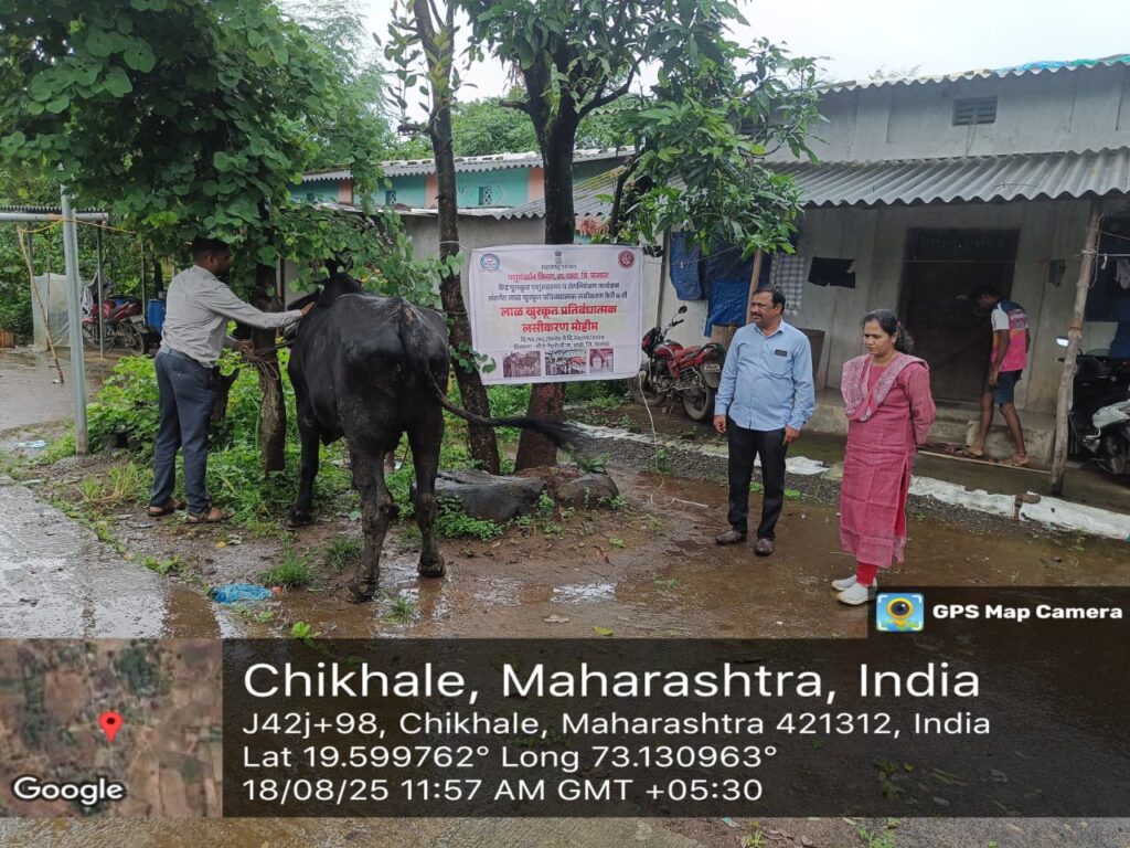 लाळ्या – खुरकत रोग प्रतिबंधात्मक लसीकरणाचा शुभारंभ,
