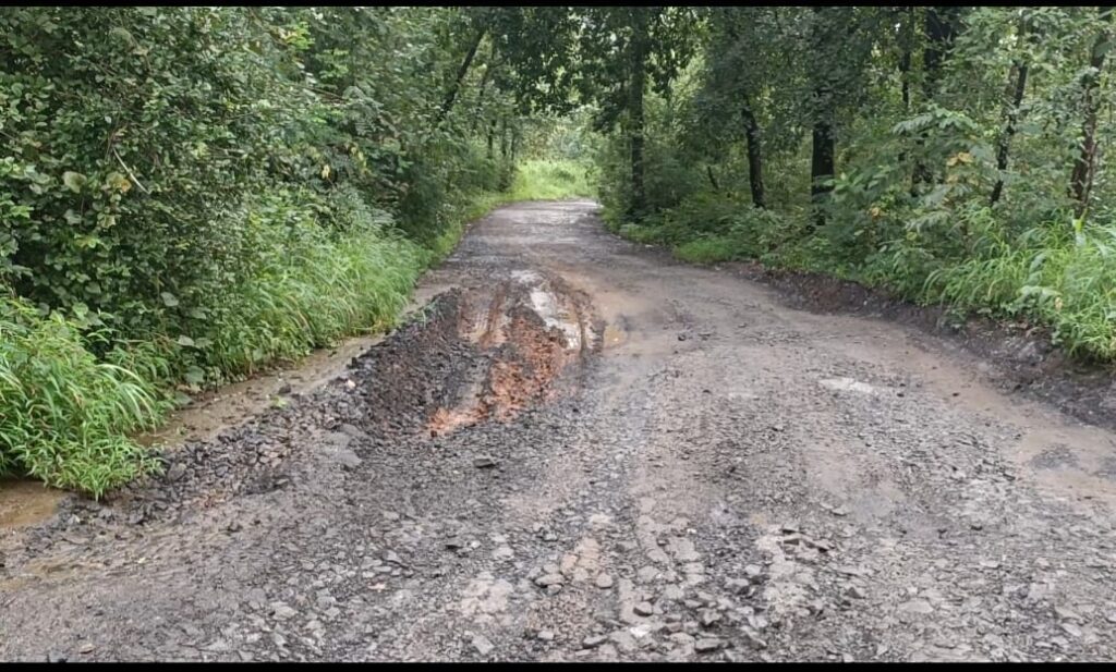 निशेत गावच्या रस्त्यावर भला मोठा खड्डा पडल्यामुळे बससेवा बंद,
