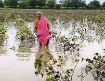 अतिवृष्टीमुळे ग्रामीण भागातील शेती उध्वस्त ; सरकार मात्र साखरझोपेत…