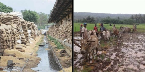 अन्न संकटाचे काळे ढग ; दीर्घकालीन कठोर उपाययोजना करणे गरजेचे….